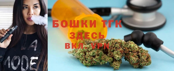 винт Инта