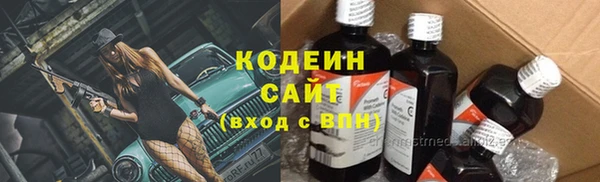 винт Инта