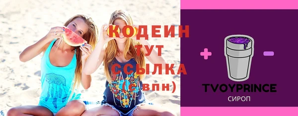 соль ск Зеленодольск