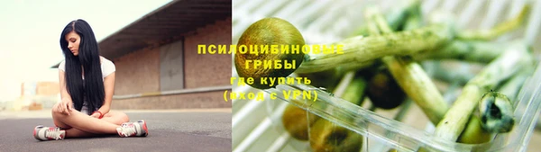 гидра Зеленокумск