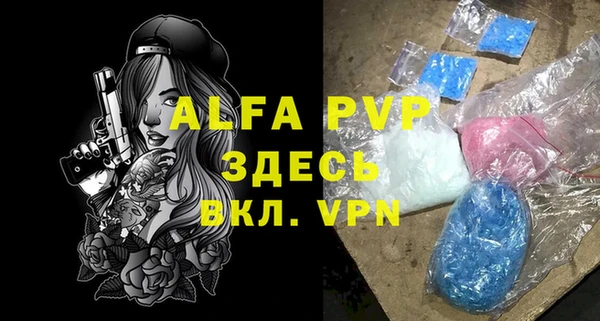 гидра Зеленокумск