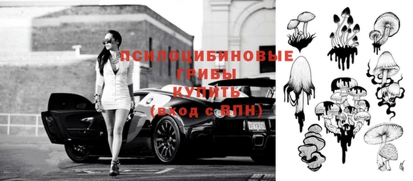 mix Инсар