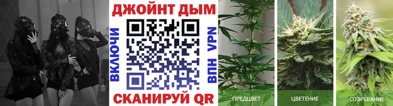 Купить где  Дзержинский  Марихуана планчик 